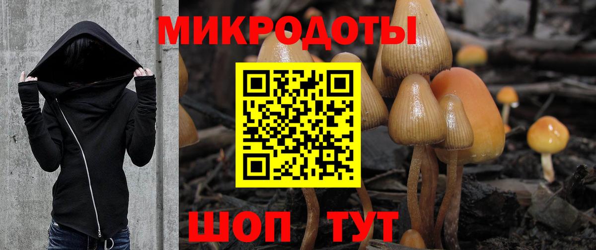 Краснодар  Псилоцибиновые грибы мицелий  Вход с VPN 