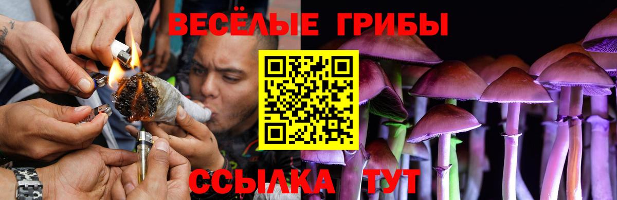 Псилоцибиновые грибы GOLDEN TEACHER Краснодар